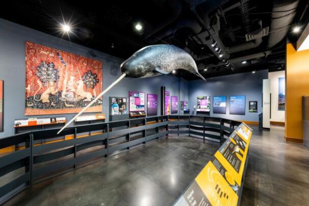 Narwhal: Revealing an Arctic Legend